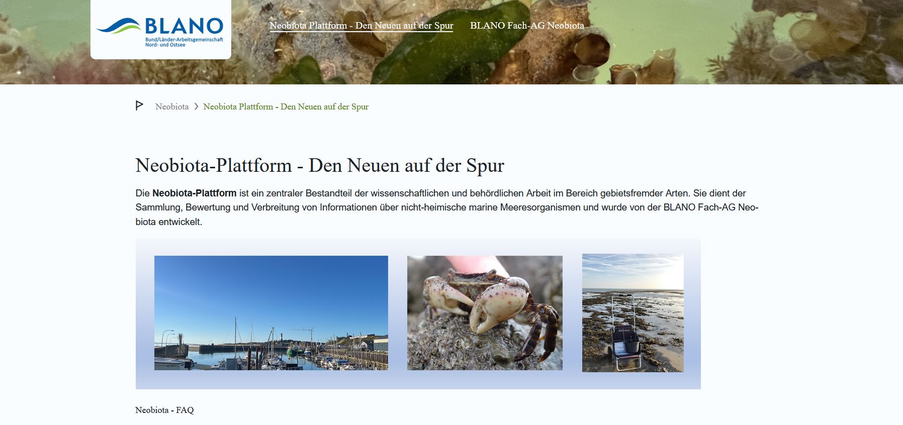 Neobiota_Plattform